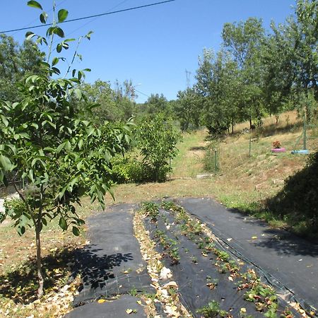 Bungalow "A Choupana" - Quinta Da Carvoica - Vale Pradinhos Vale de Pradinhos Exteriör bild