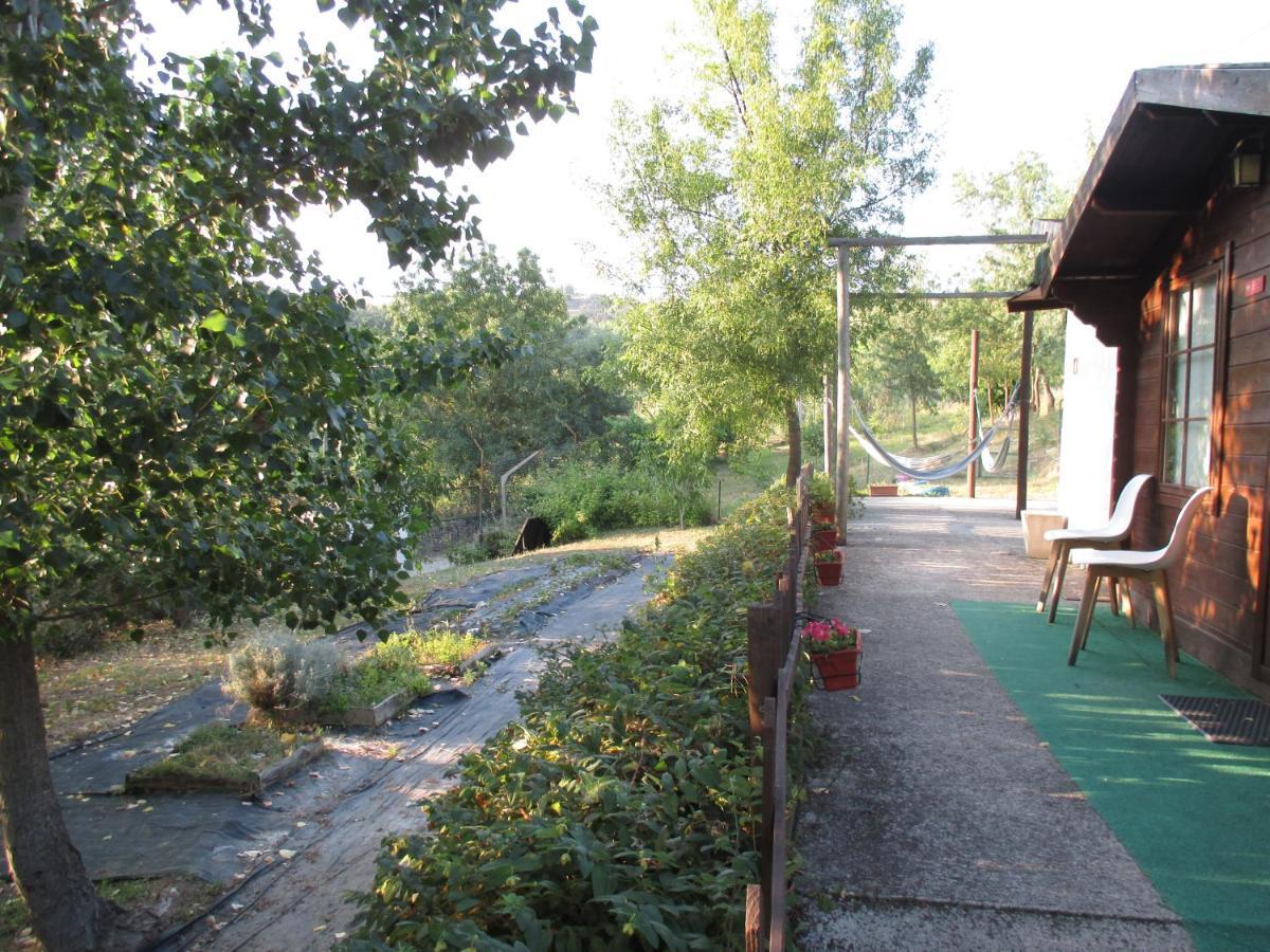 Bungalow "A Choupana" - Quinta Da Carvoica - Vale Pradinhos Vale de Pradinhos Exteriör bild