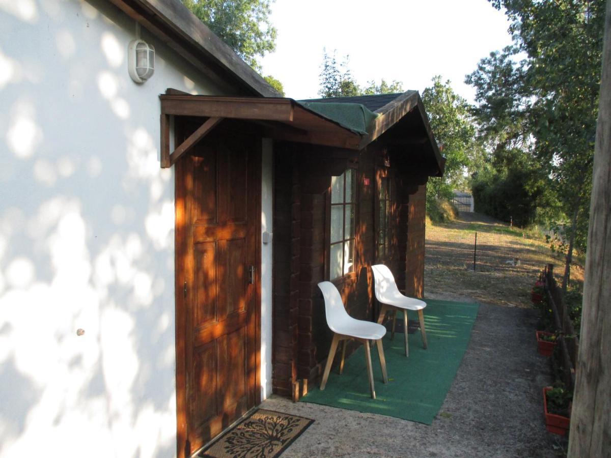 Bungalow "A Choupana" - Quinta Da Carvoica - Vale Pradinhos Vale de Pradinhos Exteriör bild