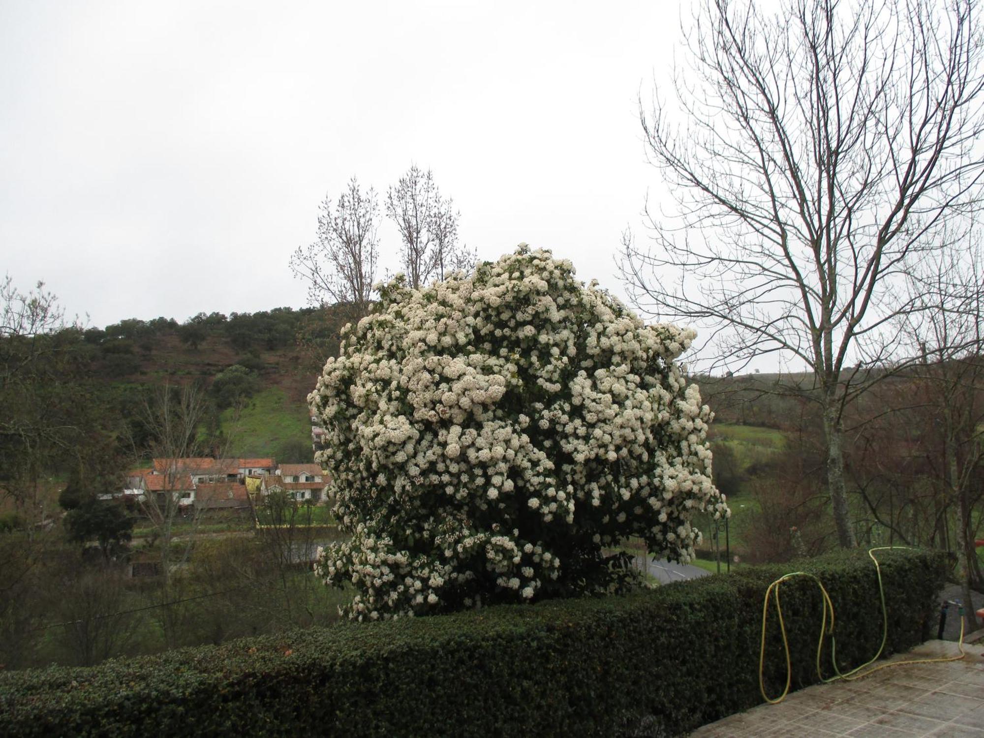 Bungalow "A Choupana" - Quinta Da Carvoica - Vale Pradinhos Vale de Pradinhos Exteriör bild