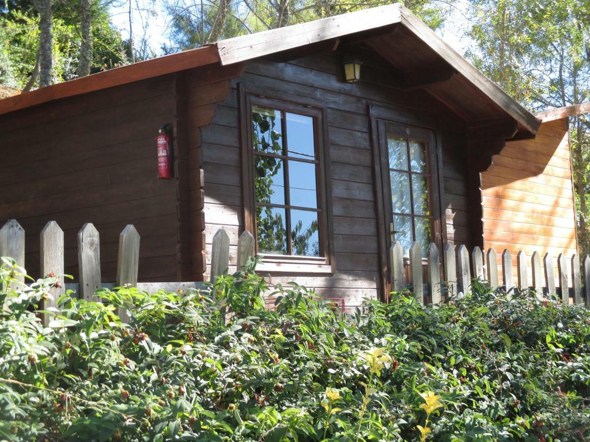 Bungalow "A Choupana" - Quinta Da Carvoica - Vale Pradinhos Vale de Pradinhos Exteriör bild